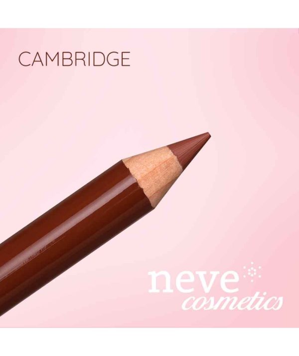 NUOVA BUSINESS/CLASS COLLECTION "PASTELLO LABBRA CAMBRIDGE" - immagine 3