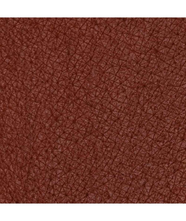 NUOVA BUSINESS/CLASS COLLECTION "PASTELLO LABBRA CAMBRIDGE" - immagine 4