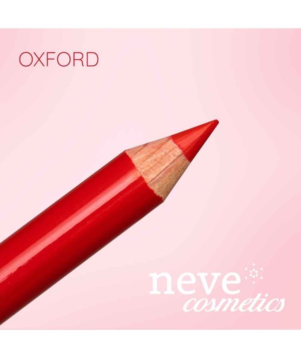 NUOVA BUSINESS /CLASS COLLECTION "PASTELLO LABBRA OXFORD" - immagine 3