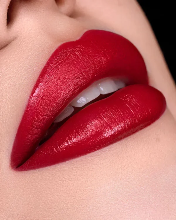 Skin Proof  Hyalur-On Matitone ROSSETTO 04 Scarlet - immagine 2
